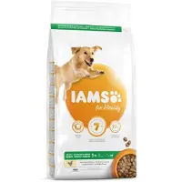 IAMS Dog Adult Large Kip - Hondenvoer