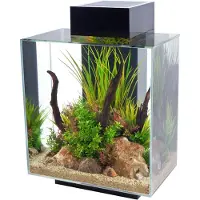 Fluval Edge Led 2.0 46l Aquariumset