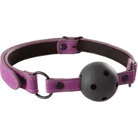 NSNovelties Mondbal Lust Bondage Paars