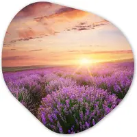 MuchoWow Organische wanddecoratie 40x40 cm - Organisch schilderij Lavendel - Zon - Bloemen - Muurdecoratie woonkamer - Kamer decoratie - Schilderijen - Muurcirkel aesthetic