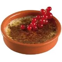 Cosy & Trendy 8x Creme brulee schaaltjes terracotta 13 cm - Serveerschalen