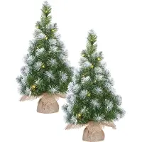 Mica Decorations 2x stuks groene LED verlichte kunstboom met 15 LED lampjes en sneeuw 60 cm - Kunstkerstboom
