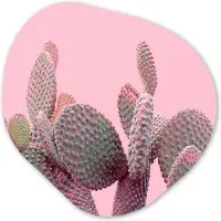 MuchoWow Organische wanddecoratie 40x40 cm - Organisch schilderij Cactus - Planten - Zomer - Muurdecoratie woonkamer - Kamer decoratie - Schilderijen - Muurcirkel aesthetic