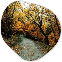 MuchoWow Organische wanddecoratie 40x40 cm - Organisch schilderij Bladeren - Herfst - Bos - Muurdecoratie woonkamer - Kamer decoratie - Schilderijen - Muurcirkel aesthetic