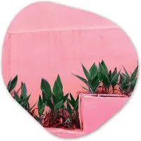 MuchoWow Organische wanddecoratie 40x40 cm - Organisch schilderij Planten - Zomer - Verf - Muurdecoratie woonkamer - Kamer decoratie - Schilderijen - Muurcirkel aesthetic