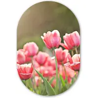 MuchoWow Muurovaal 60x90 cm - Ovale wanddecoratie Tulpen - Zon - Lente - Ovalen schilderij - Muurdecoratie woonkamer - Kamer decoratie - Schilderijen - Wandcirkel