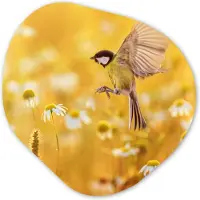 MuchoWow Organische wanddecoratie 90x90 cm - Organisch schilderij Vogel - Koolmees - Bloemen - Margriet - Muurdecoratie woonkamer - Kamer decoratie - Schilderijen - Muurcirkel aesthetic