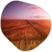MuchoWow Organische wanddecoratie 90x90 cm - Organisch schilderij Grasveld - Zon - Avond - Landschap - Muurdecoratie woonkamer - Kamer decoratie - Schilderijen - Muurcirkel aesthetic