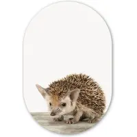 MuchoWow Muurovaal 40x60 cm - Ovale wanddecoratie Egel - Dieren - Kinderen - Jongens - Meisjes - Ovalen schilderij - Muurdecoratie woonkamer - Kamer decoratie - Schilderijen - Wandcirkel
