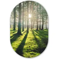 MuchoWow Muurovaal 80x120 cm - Ovale wanddecoratie Bomen - Natuur - Bos - Ovalen schilderij - Muurdecoratie woonkamer - Kamer decoratie - Schilderijen - Wandcirkel