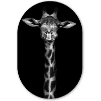 MuchoWow Muurovaal - Wandovaal - Wilde dieren - Giraffe - Zwart - Wit - Decoratieve accessoires - 80x120 cm - Kunststof - Wanddecoratie - Ovaal schilderij - Muurdecoratie woonkamer - Kamerdecoratie