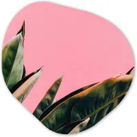 MuchoWow Organische wanddecoratie 90x90 cm - Organisch schilderij Planten - Bladeren - Vrouwentong - Roze - Tropisch - Muurdecoratie woonkamer - Kamer decoratie - Schilderijen - Muurcirkel aesthetic