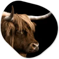 MuchoWow Organische wanddecoratie 90x90 cm - Organisch schilderij Schotse Hooglander - Dieren - Koe - Muurdecoratie woonkamer - Kamer decoratie - Schilderijen - Muurcirkel aesthetic