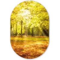 MuchoWow Muurovaal 40x60 cm - Ovale wanddecoratie Boom - Natuur - Zon - Landschap - Bos - Ovalen schilderij - Muurdecoratie woonkamer - Kamer decoratie - Schilderijen - Wandcirkel