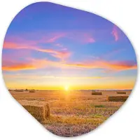 MuchoWow Organische wanddecoratie 60x60 cm - Organisch schilderij Stro - Zon - Lucht - Landschap - Muurdecoratie woonkamer - Kamer decoratie - Schilderijen - Muurcirkel aesthetic