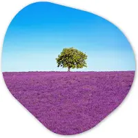 MuchoWow Organische wanddecoratie 60x60 cm - Organisch schilderij Boom - Paars - Lucht - Lavendel - Muurdecoratie woonkamer - Kamer decoratie - Schilderijen - Muurcirkel aesthetic