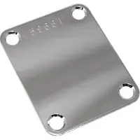 AllParts AP0601010 Serienummer Neck Plate voor Gitaar en Bas