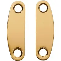Boston NP-82-G Gouden Nekbevestigingsplaten - Set van 2