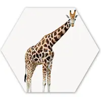 MuchoWow Hexagon wanddecoratie - Kunststof Wanddecoratie - Hexagon Schilderij - Giraffe - Dieren - Witte achtergrond - Kinderen - Jongen - Meisje - 120x103 cm