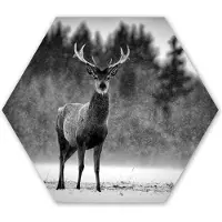 MuchoWow Hexagon wanddecoratie - Kunststof Wanddecoratie - Hexagon Schilderij - Dieren - Hert - Winter - Zwart - Wit - 120x103 cm