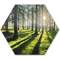 MuchoWow Hexagon wanddecoratie - Kunststof Wanddecoratie - Hexagon Schilderij - Bomen - Natuur - Bos - 120x103 cm
