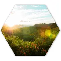 MuchoWow Hexagon wanddecoratie - Kunststof Wanddecoratie - Hexagon Schilderij - Heuvels - Zonsondergang - Gras - Groen - 75x65 cm