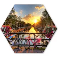MuchoWow Hexagon wanddecoratie - Kunststof Wanddecoratie - Hexagon Schilderij - Amsterdam - Bloemen - Brug - Fiets - Zonsondergang - 75x65 cm