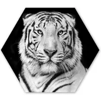 MuchoWow Hexagon wanddecoratie - Kunststof Wanddecoratie - Hexagon Schilderij - Tijger - Zwart - Wit - Portret - Dieren - 120x103 cm