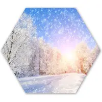 MuchoWow Hexagon wanddecoratie - Kunststof Wanddecoratie - Hexagon Schilderij - Sneeuw - Zon - Winter - 75x65 cm - Kerstdecoratie in huis - Kerstmis