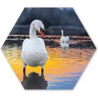 MuchoWow Hexagon wanddecoratie - Kunststof Wanddecoratie - Hexagon Schilderij - Zwaan - Vogel - Zonsondergang - Water - 75x65 cm