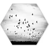 MuchoWow Hexagon wanddecoratie - Kunststof Wanddecoratie - Hexagon Schilderij - Dieren - Vogels - Wolken - Zwart - Wit - 120x103 cm
