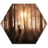 MuchoWow Hexagon wanddecoratie - Kunststof Wanddecoratie - Hexagon Schilderij - Bos - Hert - Zon - Bomen - Winter - Natuur - Dieren - 120x103 cm