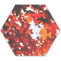 MuchoWow Hexagon wanddecoratie - Kunststof Wanddecoratie - Hexagon Schilderij - Herfstbladeren - Landelijke decoratie - Zon - 120x103 cm