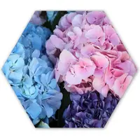 MuchoWow Hexagon wanddecoratie - Kunststof Wanddecoratie - Hexagon Schilderij - Bloemen - Struik - Hortensia - Botanisch - 120x103 cm