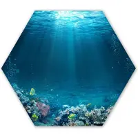 MuchoWow Hexagon wanddecoratie - Kunststof Wanddecoratie - Hexagon Schilderij - Oceaan - Vis - Koraal - 75x65 cm