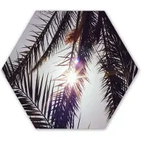 MuchoWow Hexagon wanddecoratie - Kunststof Wanddecoratie - Hexagon Schilderij - Palmbladeren - Zon - Zomer - 75x65 cm