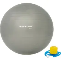 Tunturi Anti Burst Fitness bal met Pomp - Yoga bal 65 cm - Pilates bal - Zwangerschapsbal – 220 kg gebruikersgewicht - Incl Trainingsapp – Zilver