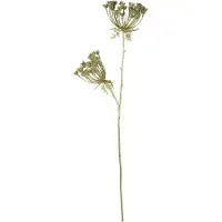 Mars & More - Siertak - Berenklauw - Goud - 85cm