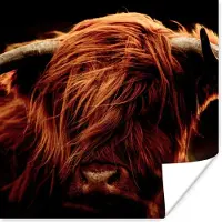 PosterMonkey Poster Schotse hooglander - Koe - Hoorns - Portret - Dieren - 50x50 cm