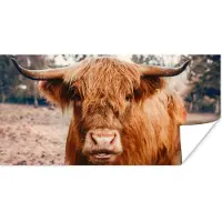 PosterMonkey Poster Koe- Schotse hooglander - Hoorns - Bruin - Landschap - 160x80 cm