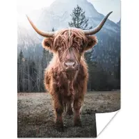 PosterMonkey Poster - Schotse hooglander - Koe - Dieren - Natuur - Industrieel - Fotoposter - Muurposter - Woonkamer decoratie - Muurposters slaapkamer - Dierenposter - 30x40 cm - Muurdecoratie