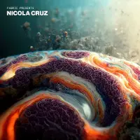 Cd Nicola Cruz - Presents