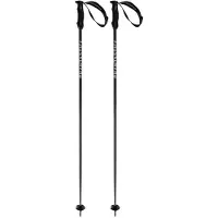 Völkl Phantastick Iii Stokken