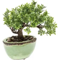 Driesprong Collection Zijdeplant mini Bonsai Ficus kunstplant excl. vaas