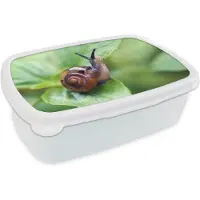 MuchoWow Broodtrommel Wit - Lunchbox - Brooddoos - Slak op blad - 18x12x6 cm - Volwassenen
