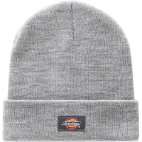 Dickies DK0A4Y63 Gebreide Beanie-Muts