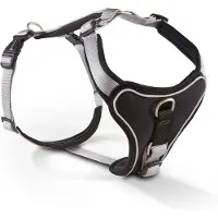 Wolters hondentuig gepolsterd Professional Comfort, maat -1: 27-32cm x 15mm zilver/zwart