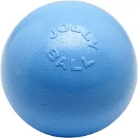 Jolly Pets Bounce-n Play Bal