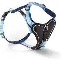 Wolters hondentuig gepolsterd Professional Comfort, maat -1: 27-32cm x 15mm blauw/hemelsblauw