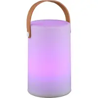 Reality Oplaadbare led RGB Tafellamp Aruba ()
